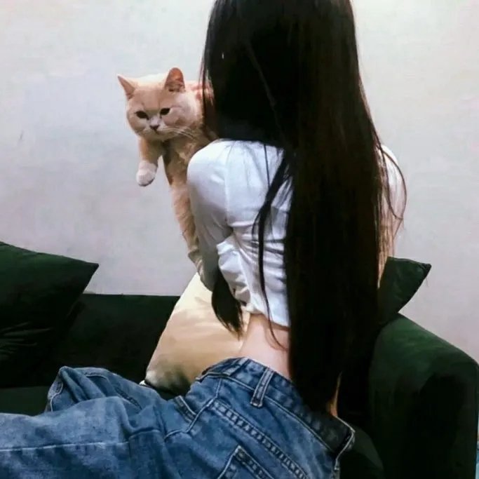 女人的面孔